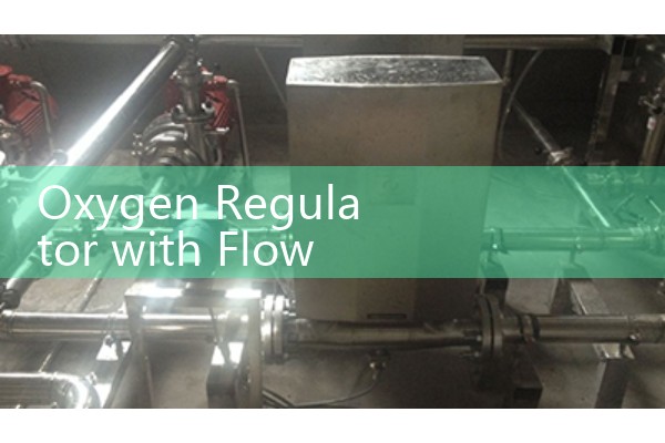Oxygen Regulator with Flow Meter: Patient Cylinder Medical Gas Delivery Kits